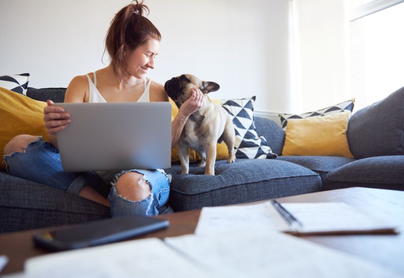 Female Entrepreneur working on her laptop with her dog and sitting comfortably on the couch.